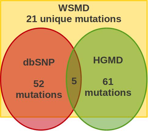 Figure 32: Summary of origin of unique mutations found for the WRN protein coding gene in three different databases (dbSNP, HGMD and WSMD).