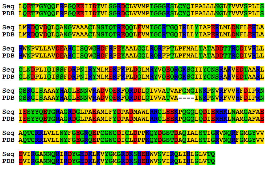 Figure 28: Alignment between the sequence of 1OYY retrieved from PDB and the sequence built with the information from the structural PDB file. The only gap within the alignment represents the four residues that are missing in the crystal structure.