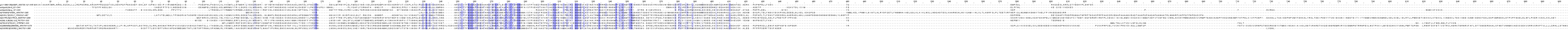 MSUD BCKDHA low seq ident mafft.png