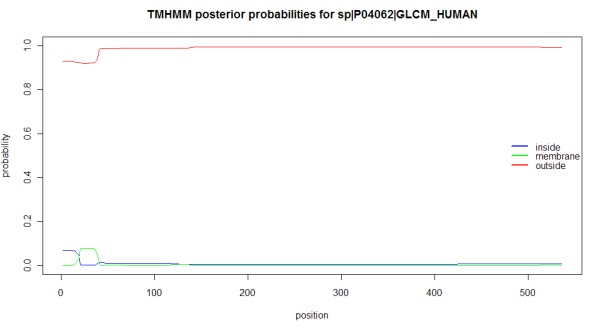 TMHMM posterior probabilities for glucocerebrosidase