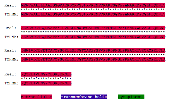 R human tmhmm vs real.png