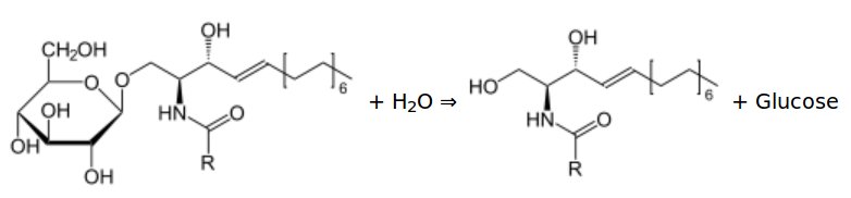 Reaction catalyzed by glucosylceramidase