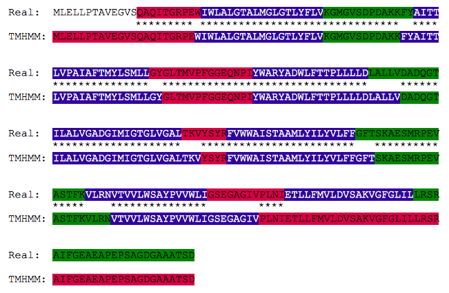 Comparison of the real occuring transmembrane helices in BACR_HALSA and the prediction result of TMHMM. Especially in the beginning is the prediction really very good. There is almost 100% overlap between predicted and real helices. Only in the end of the protein lacks one transmembrane helix in the TMHMM prediction. Therefore, in real there are 7 transmembrane helices, whereas TMHMM only predicts 6. This is really bad, because it is a different for the function if there are 6 or 7 helices, but in general the prediction of TMHMM was quite good.