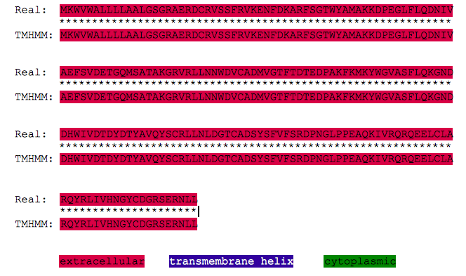 Ret4 human tmhmm vs real.png