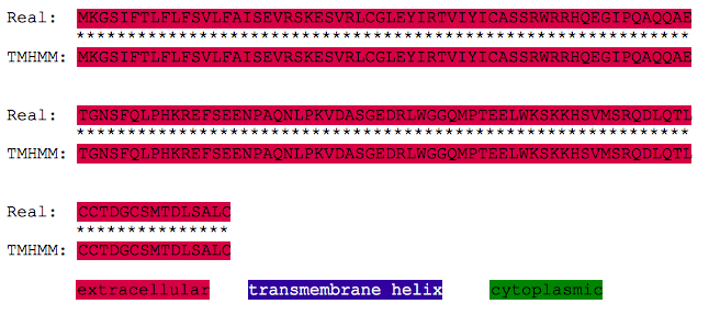 Insl5 human tmhmm vs real.png