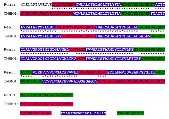 H tmhmm vs real.png