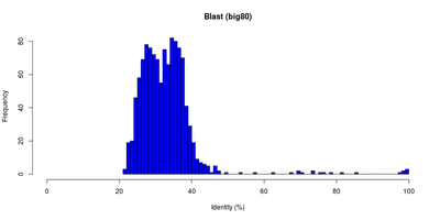 Hemo ident blast 80.png