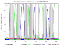 Leuko arsa polyphobius.png