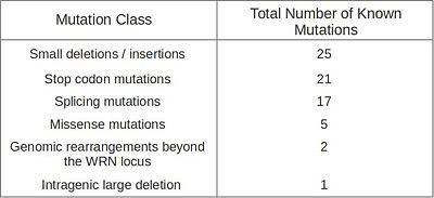 Table 1: Mutations of the WRN gene associated to the Werner Syndrome, according to the mutation report by Friedrick et al., 2010. The total number of known mutations by class is given [2].