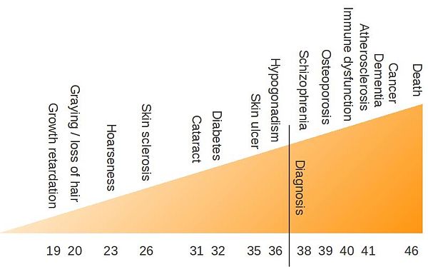 Figure 2: Appearance of symptoms in Werner Syndrome patients. The horizontal axis represents the average age at which each clinical manifestation occurs, according to Makoto Goto in his study from 1997 [1].