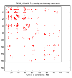 Evfold HRas ConstraintMap 189.png