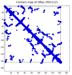 H-Ras ContactMap.png