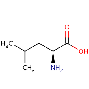 L-leucine (source: http://www.ebi.ac.uk/chebi)